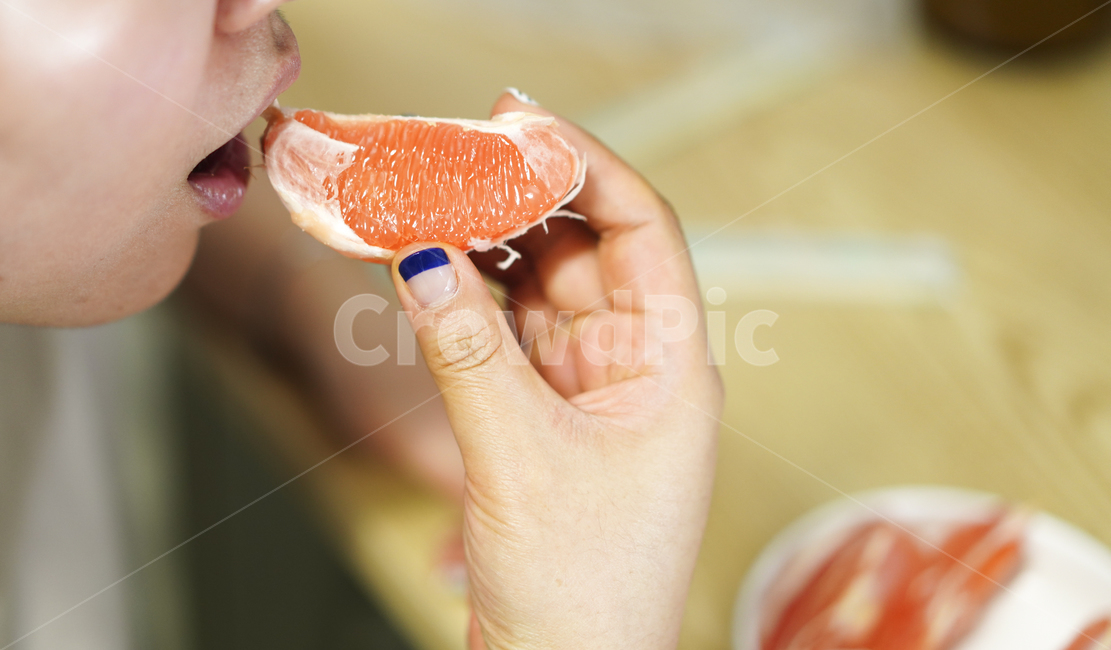 감귤류과일,plant,식물,grapefruit,fruit,과일,food,식품