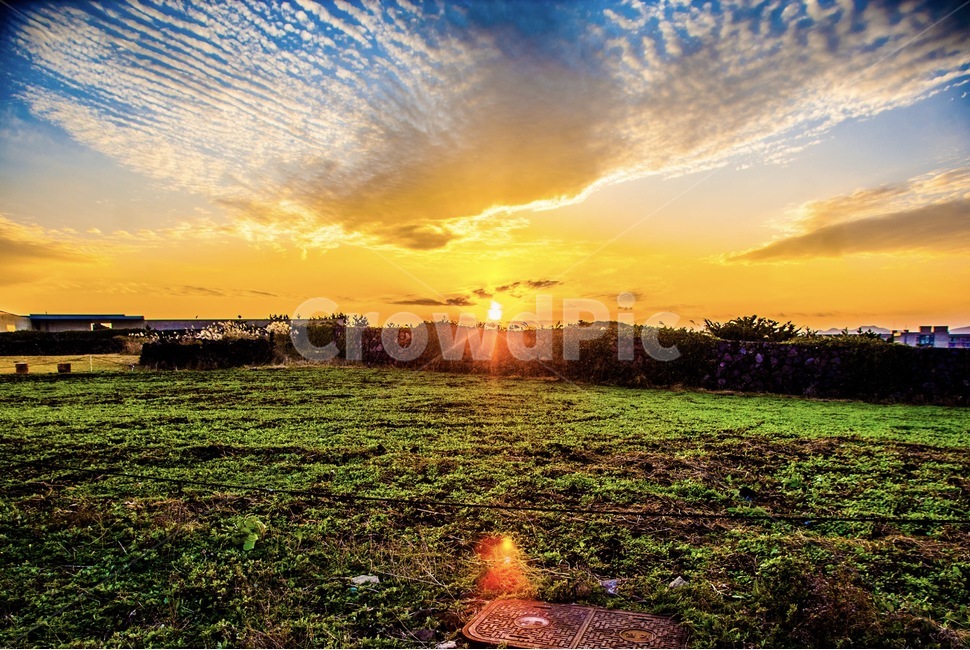 제주,제주도,섭지코지,가을,풍경,갈대밭,일몰,자연,풍경,nature,landscape,flare,플레어,light,빛,sunlight,햇빛