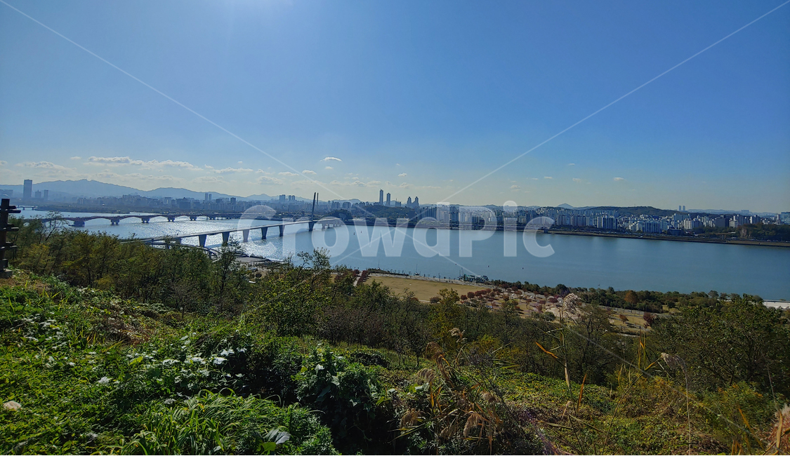 서울,가을,전경,autumn,갈대,공원,갈대숲,reed,nature,자연,경치,landscape,scenery,풍경,outdoors,옥외,푸른하늘,자연,풍경,nature,landscape