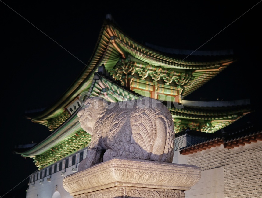 광화문,경복궁,문화재,해치,도시,서울,전통,문화,고궁,기와,한국,건축물,풍경,랜드마크,landmark,한국전통,한국문화,전통문화,culture,야경,해태,야경,밤,풍경,nightscape,night,landscape,한국전통,한국문화,korean traditional,korean culture,랜드마크,landmark,tourist attraction,한국랜드마크,한국관광지,한국명소,korea landmark,korea tourist attraction,건축물,건물외관,exterior,building,structure,architecture,construction,건물,shrine,신사,worship,예배