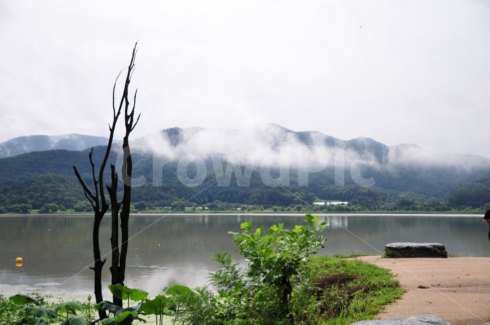 양수리,두물머리,구름,비,양평,자연,풍경,nature,landscape,여름,계절,summer,season,outdoors,옥외,water,물
