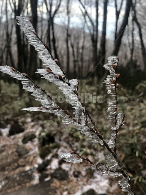 겨울산행,설경,눈꽃,자연,nature,트레킹,trecking,겨울,winter,겨울산,상고대