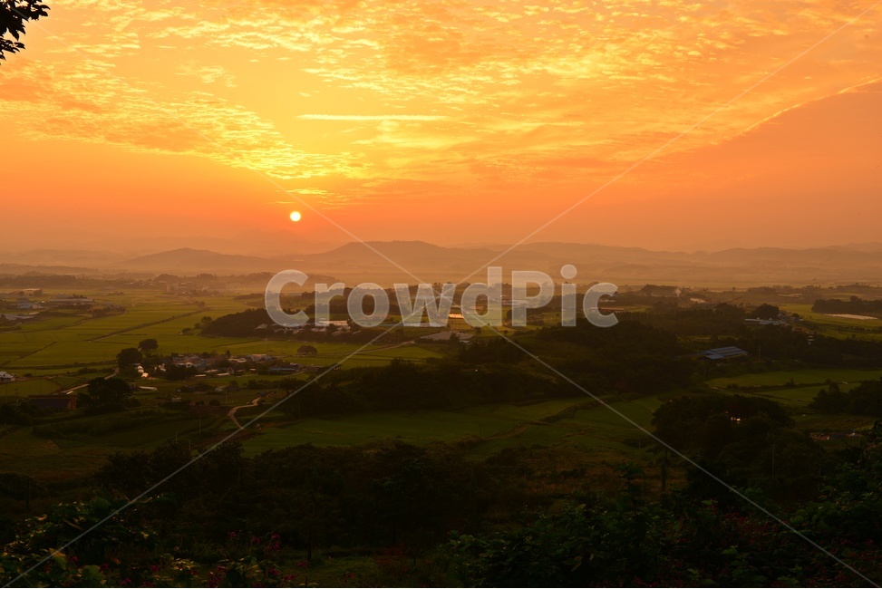 nature,자연,scenery,풍경,outdoors,옥외,landscape,경치,sunlight,햇빛,flare,플레어,light,빛,함평,밀재,밀재일출,아침,해돋이,여명