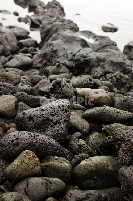 해안,현무암,바위,돌,바다,제주도,jeju,jeju island,rock,록