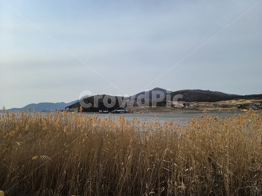 식물,잔디,하늘,서해,산