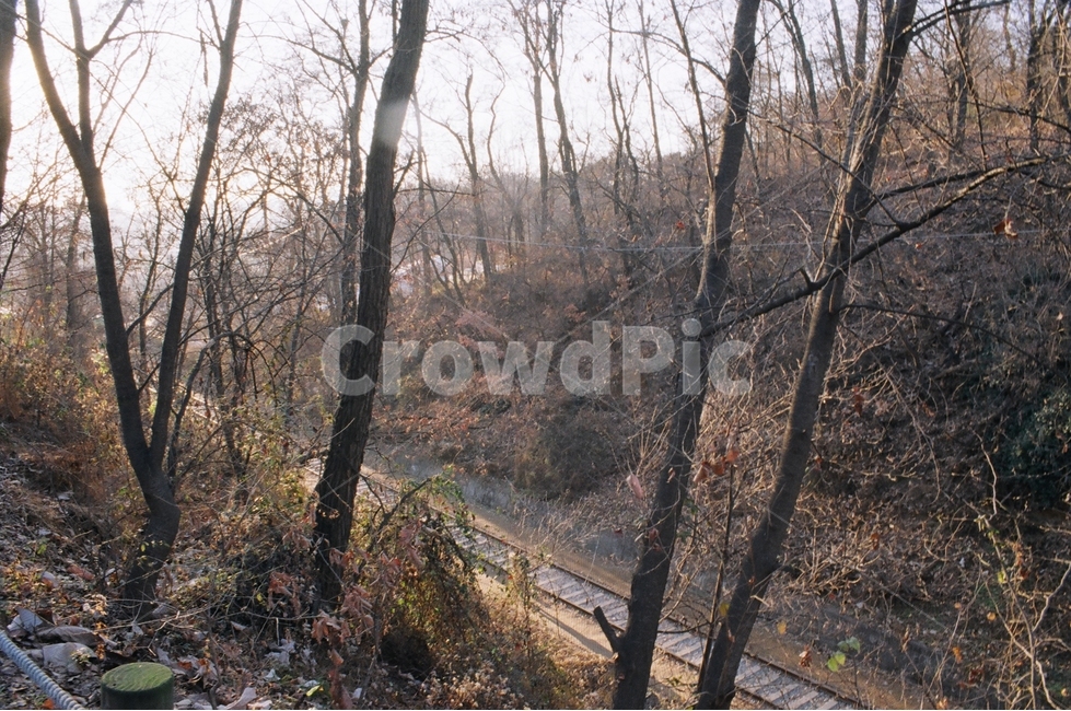 항동철길,철길,철로,필름카메라,풍경,자연,필카,기차