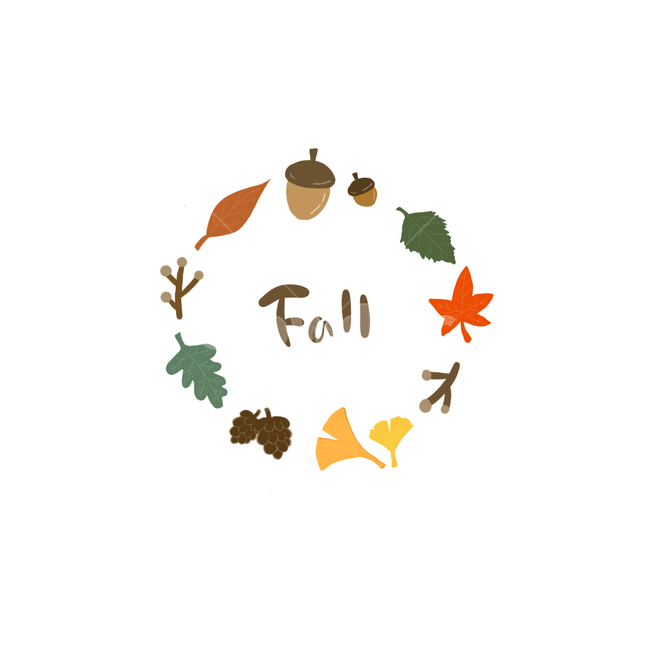 acorn,branch,fall image,Maple leaf,Autumn feeling,ginkgo leaves,autumn painting,fall,leaves,fall illustration,pine cone,season,autumn,Maple