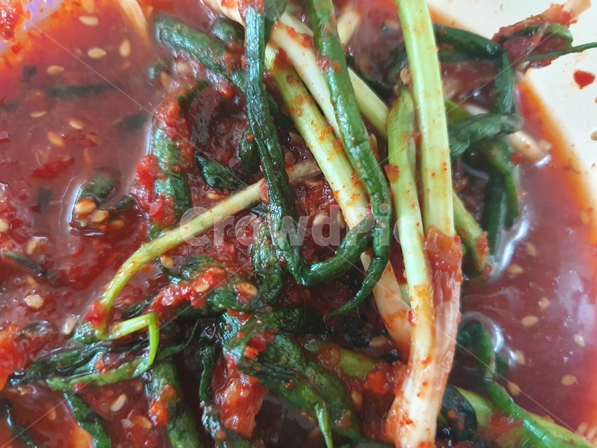 한국음식,매운,양념,정통,전통음식,kimchi,koreanfood,sidedish,spicy,traditionalfood,반찬,파,파김치
