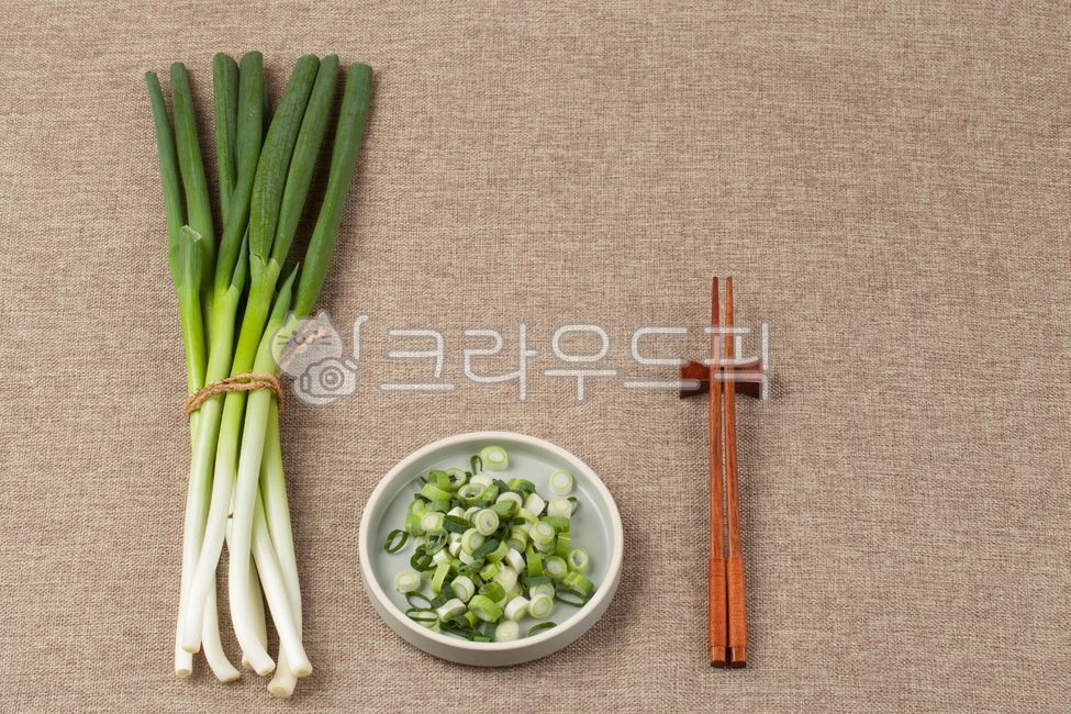 대파, 음식, 파, 채소, 재료, 사진,이미지,일러스트,캘리그라피 - 박프로 진Studio작가