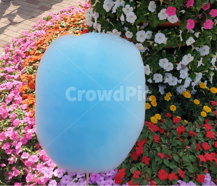 솜사탕,간식,cottoncandy,음식,candy,cotton
