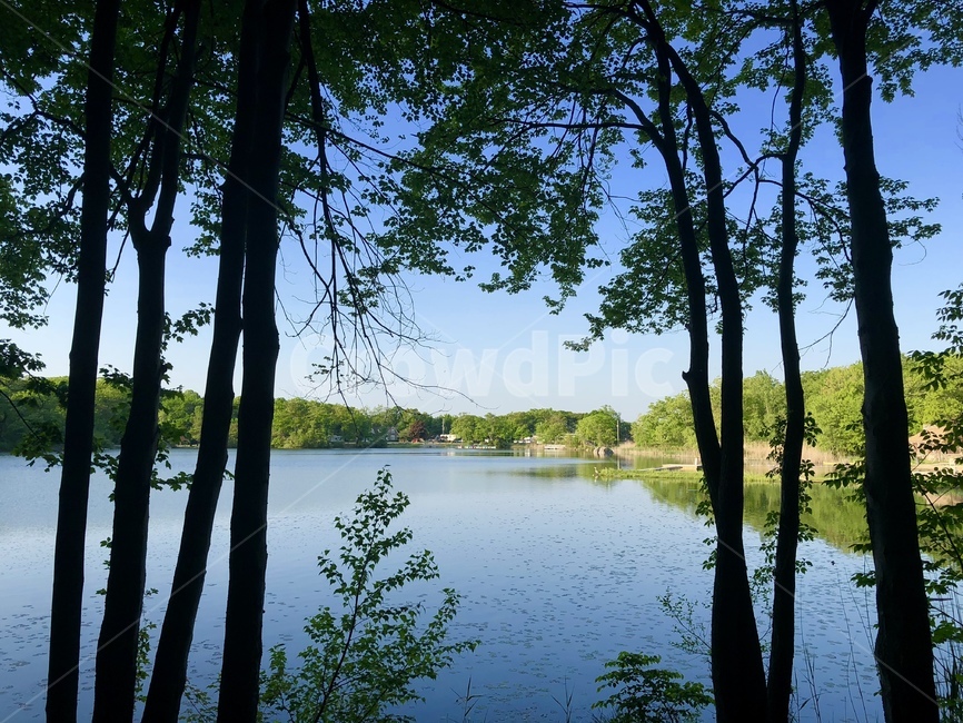 연못,여름,나무,숲,강,자연,풍경,nature,landscape,water,물,outdoors,옥외