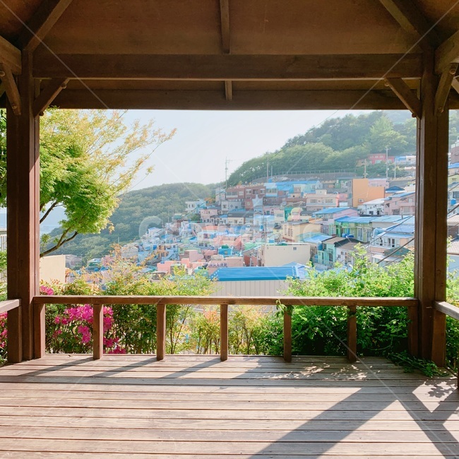 봄풍경,정자,감천문화마을,그림자,shadow,집들,houses,나무와꽃