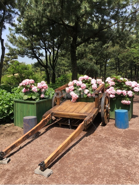 꽃,flower,수레,꽃다발,숲,forest,녹색,green,pink,핑크,야외,outdoor,background,배경,한국,korea,사물,물건,오브젝트,thing,object,matter