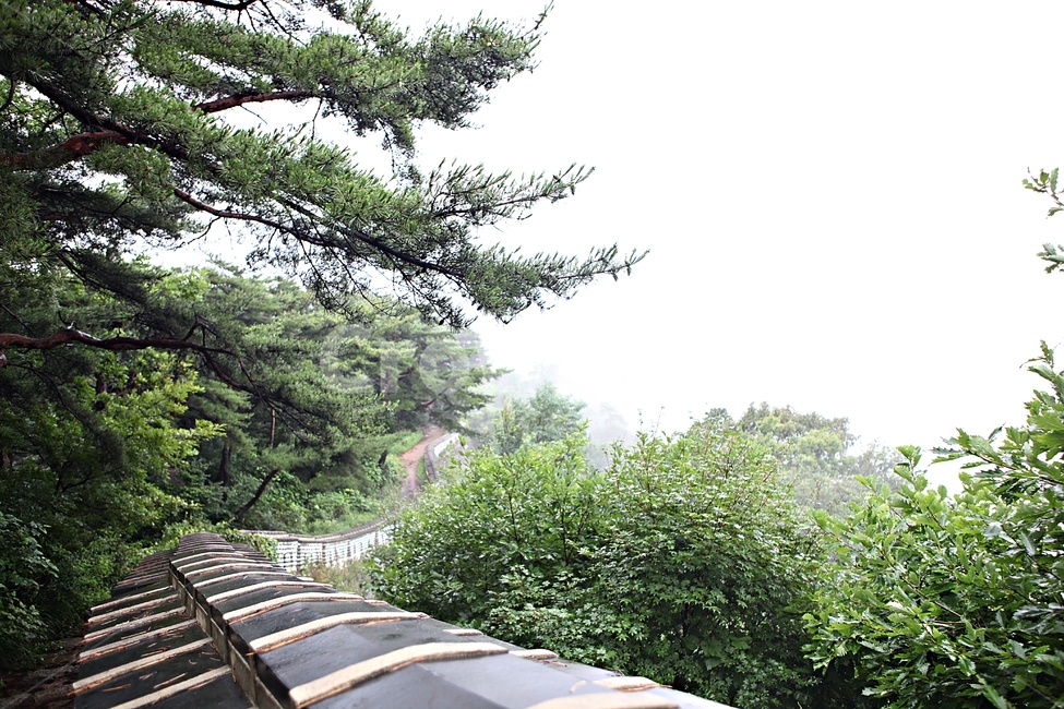 남한산성,성,성곽,길,둘레길,숲,숲길,안개,돌담,담,벽,여름,풍경