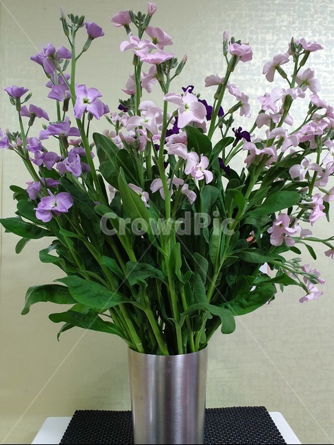 꽃,꽃꽂이,식물,꽃병,flower,실내용화초,화분,화초,house plant