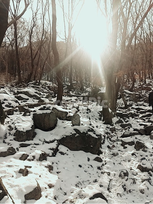 겨울산,등산,겨울,눈,고대산,겨울,계절,winter,season
