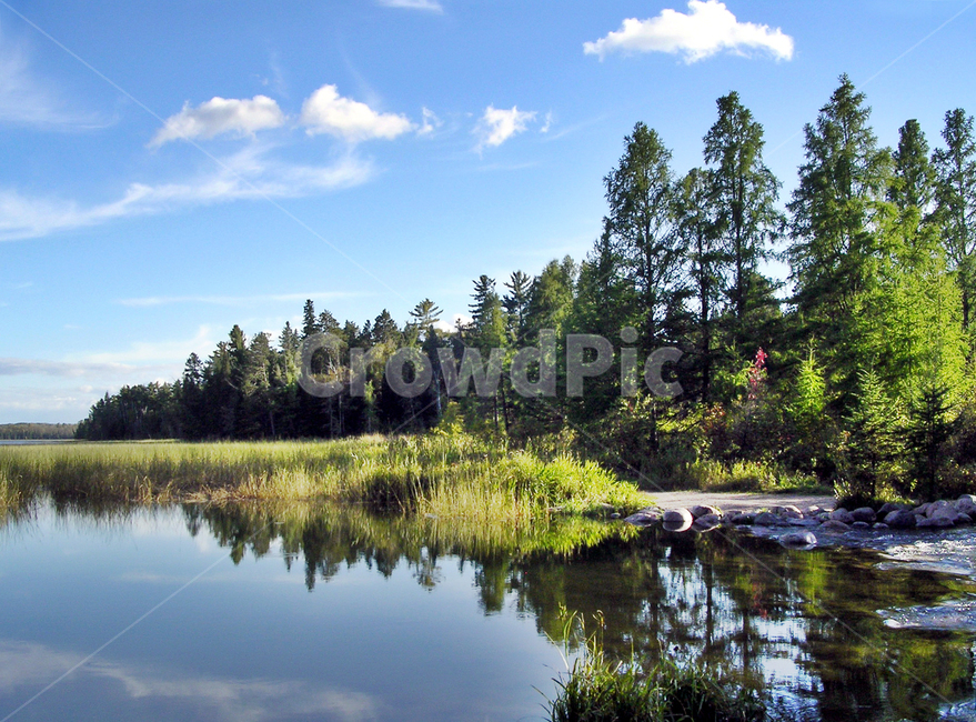 이타스카호,미국,미네소타,미시시피강,수원,주립공원,푸른하늘,호수,mississippiheadwaters,headwater,자연,풍경,nature,landscape,해외,외국,세계,foreign,oversea,world,세계자연풍경,해외자연풍경,외국자연풍경,world nature landscape,water,물,fir,전나무,tree,나무,abies,아비,plant,식물,outdoors,옥외,land,땅