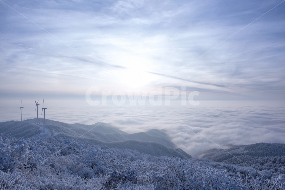강원도,상고대,운해,구름,풍력발전기,풍력,푸른하늘,오후,풍경,노을,자연,태기산,여행,겨울산행,산행,사진,겨울,눈꽃,설산,눈,강추위,추운,숲,정상,얼음,산악,야외,스노우,햇빛,안개,화이트,흰색,겨울철,동계,바람,등산,백두대간,설경,나무,추위,겨울산,겨울,계절,winter,season,자연,풍경,nature,landscape,한국자연풍경,한국자연경관,korea nature landscape,outdoors,옥외