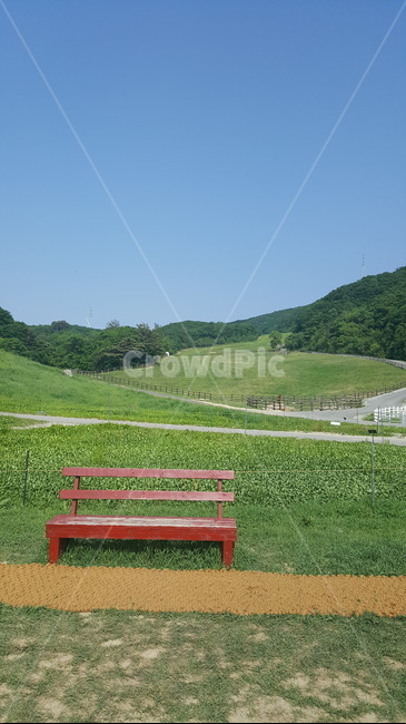 초록색,의자,풀밭,하늘,빨강색,푸른하늘