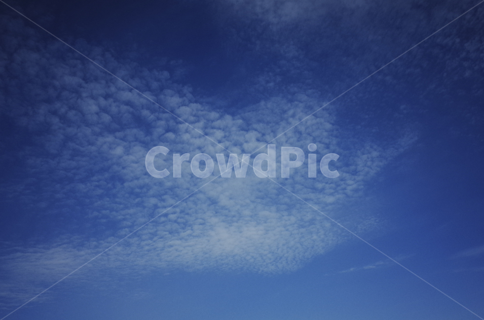nature,자연,하늘,sky,구름,cloud,cloudysky,blue,파란하늘,푸른하늘,적운,구름낀하늘,자연,풍경,nature,landscape