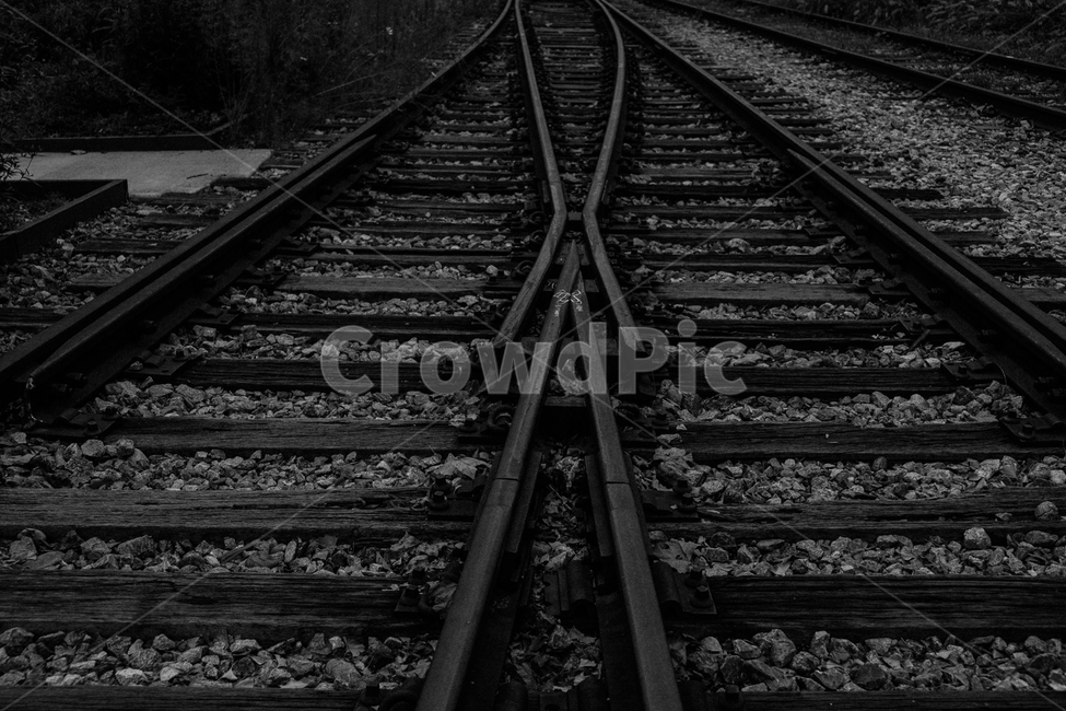 transportation,교통,traintrack,철도,railway,레일,rail,기찻길,흑백,모노톤,monochrome,black and white