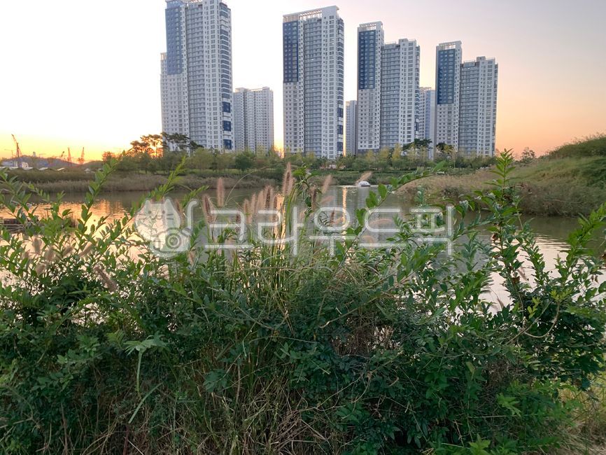 highrise,urban,town,city,plant,high rise building,building