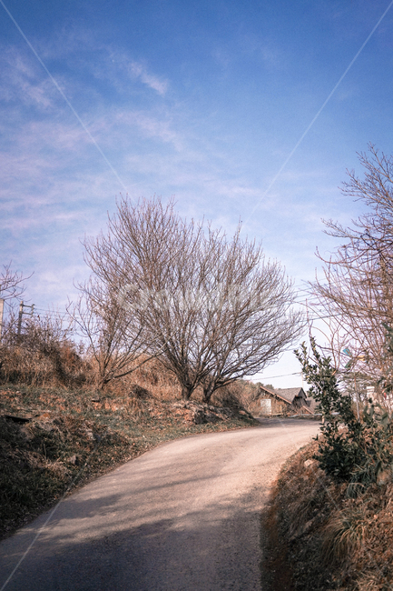 시골,골목길,시골길,산책,길,풍경,자연,나무,골목,마을,landscape,rural,시골,마을,풍경,landscape,country,rural,town