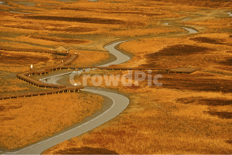 nature,자연,outdoors,옥외,전남,신안,증도,증도물길,태평염전,물길,자연,풍경,nature,landscape,식물,plants