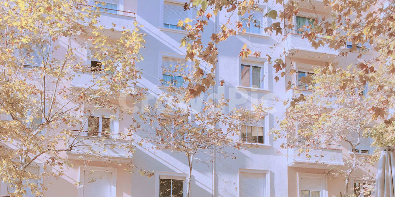 스페인,창문,햇빛,가을,낙엽,그림자,테라스,가을,계절,fall,autumn,season,식물,자연,plants,nature,나무,trees,wood,감성,sensible,feeling,건축물,건물외관,exterior,building,structure,architecture,construction,plant