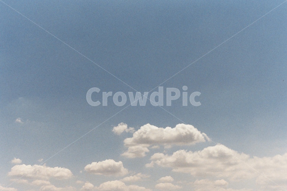 하늘,구름,나무,몽글몽글,sky,필름카메라,감성사진,filmcamera,자연,풍경,nature,landscape,outdoors,옥외,weather,날씨,cumulus,적운,cloud