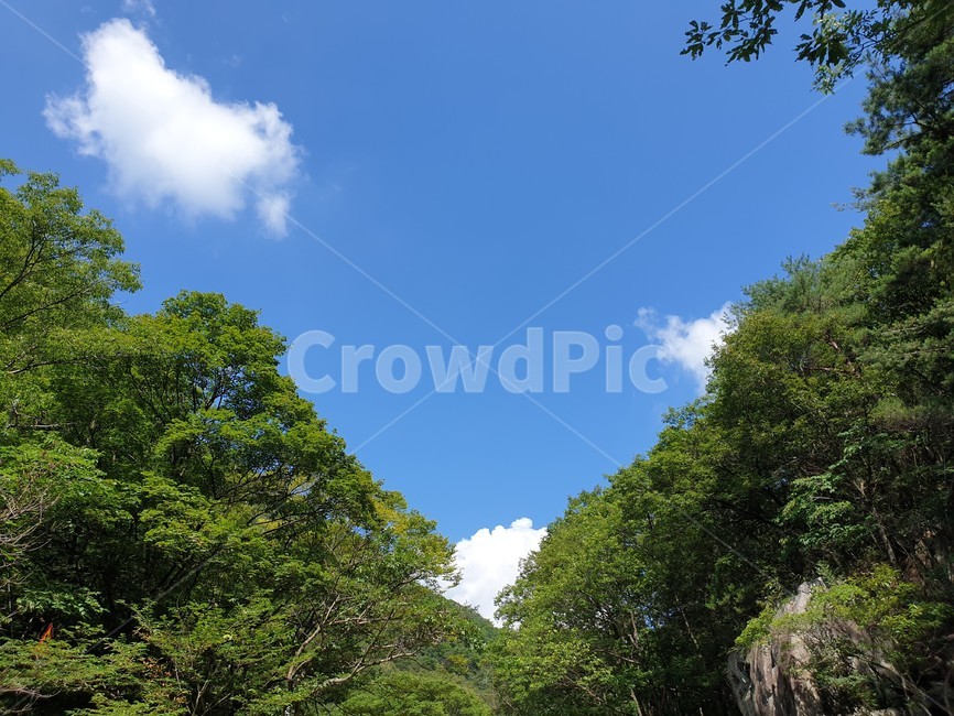 산,구름,파랑,bluesky,녹색초록,green,자연풍경,여름,나무,숲
