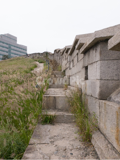 성벽,산책길,돌담길,돌길,풀,건축물,건물외관,exterior,building,structure,architecture,construction