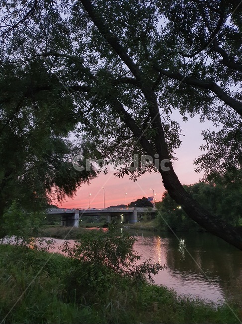 outdoors,옥외,tree,나무,식물,강,가을,따뜻,저녁,풍경,자연,풍경,nature,landscape,plant