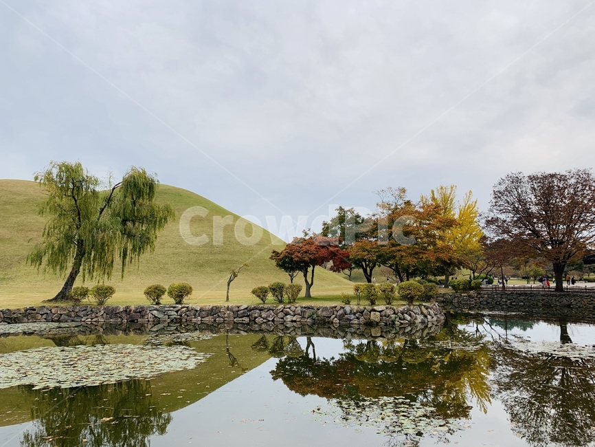 outdoors,옥외,nature,자연,풍경,landscape,view,경주,관광,관광명소,대릉원,한국,가을,연못,낙엽,touristattractioin,색깔,색상,color,fall,autumn,autumnleaves,pond,감성,feeling,koreantranditiona,plant,식물,tree,나무