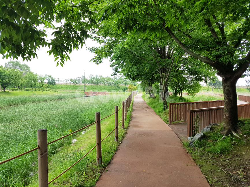 산책,나무,길,산책길,울타리,낮은울타리,공원,나뭇잎,거리,path,통로