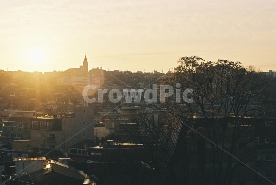 필름사진,일출,아침,도시,햇빛,아날로그,필름,sunrise,morning,city,film,도시,풍경,city,landscape,한국도시풍경,한국도시경관,korea cityscape,감성,sensible,feeling,flare,플레어,light,빛