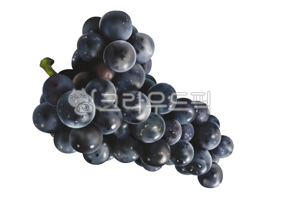 fruit illustration,fruit pictures,fruit,png,grape,Grape illustration,design,illustration,grape picture,graphic,grapes