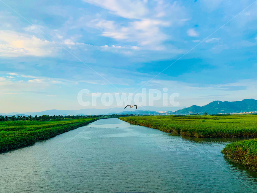 순천,suncheon,순천만습지,suncheonmanbay,summer,여름,ditch,도랑,water,물,outdoors,옥외,nature,자연,새,bird,하늘,sky,여름하늘