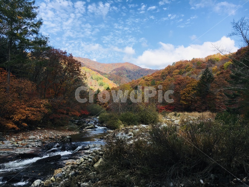 nature,자연,가을,풍경,단풍,산