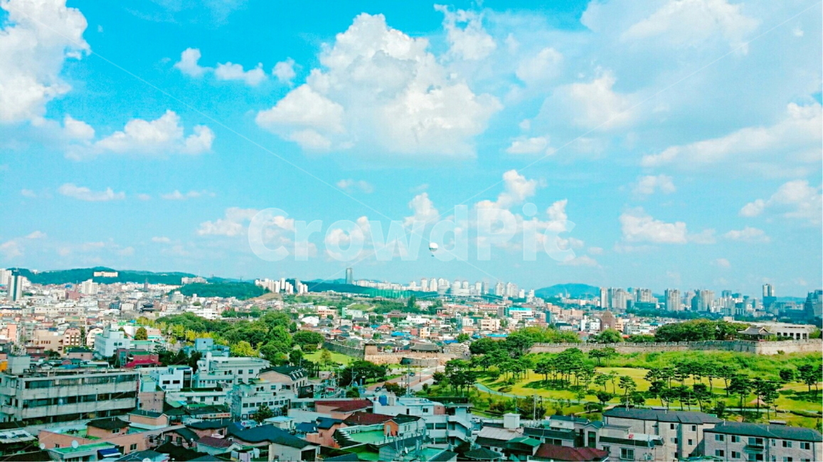 landscape,경치,nature,자연,풍경,scenery,옥외,outdoors,야외,공원,하늘,구름,뭉게구름,감성,색감,색깔,느낌,컬러,잔디,들판,열기구,화성,수원,화성투어,나무,나무그늘,휴식