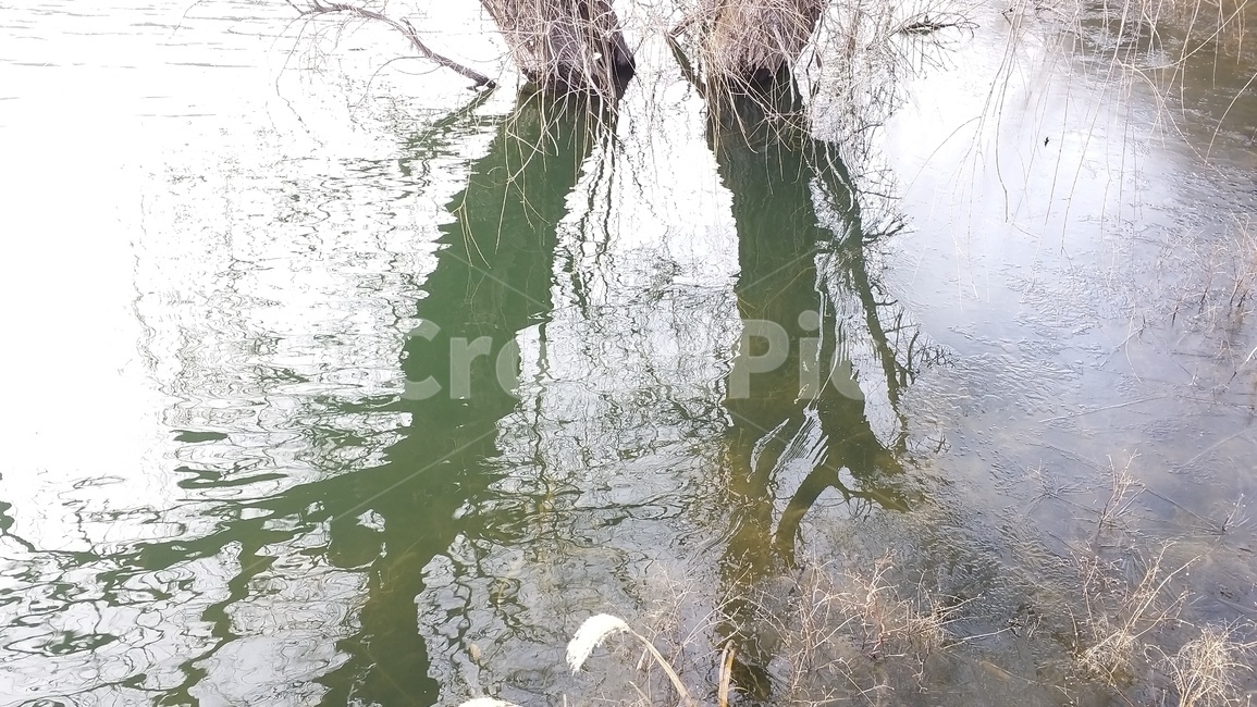 물,outdoors,water,nature,land,옥외,자연,저수지,나무