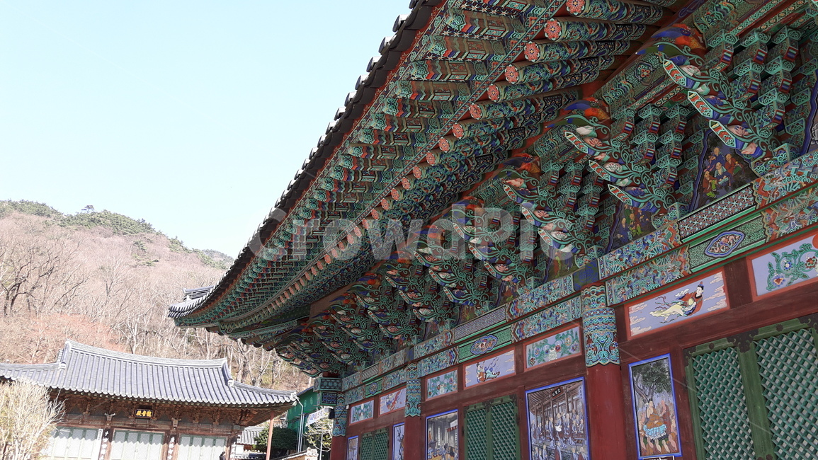 사찰,절,기와,처마,지붕,주문