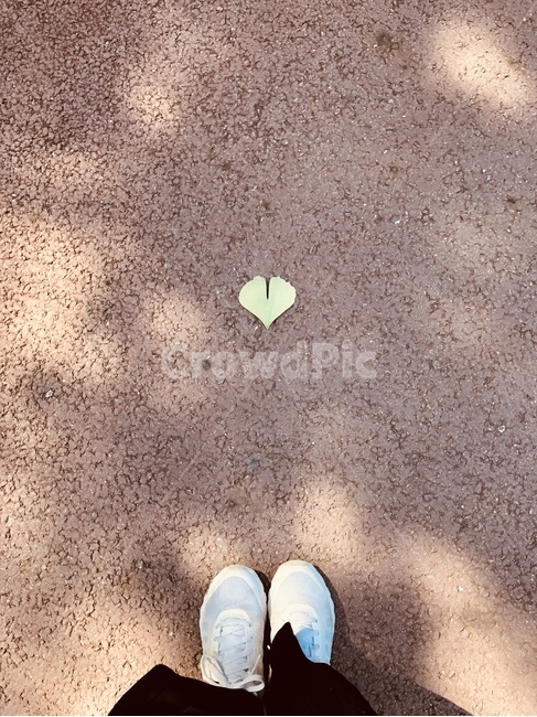 apparel,은행잎,잎,하트,heart