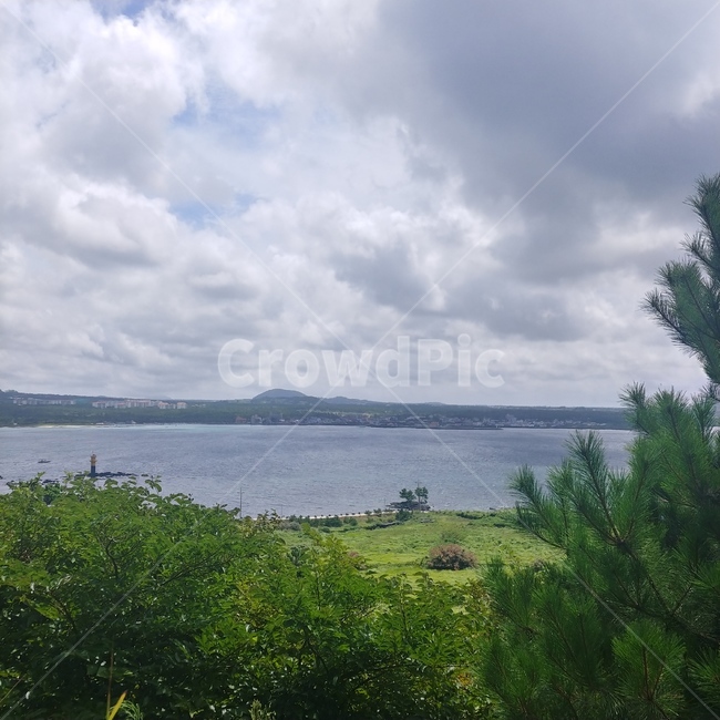 섬,자연,정방향,공원,제주도,자연,풍경,nature,landscape