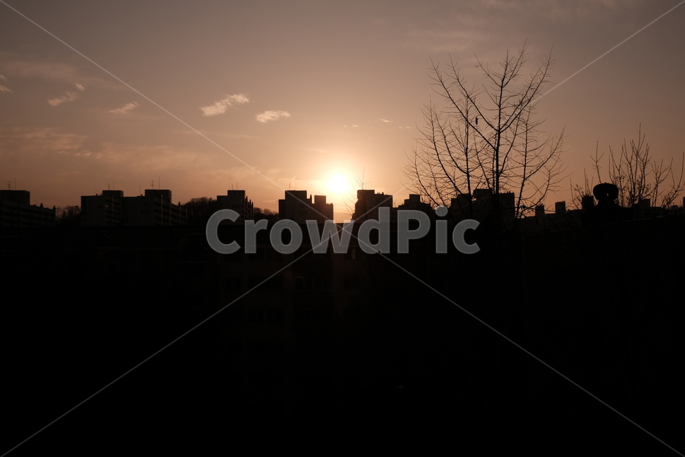 햇빛,nature,sunlight,outdoors,옥외,노을