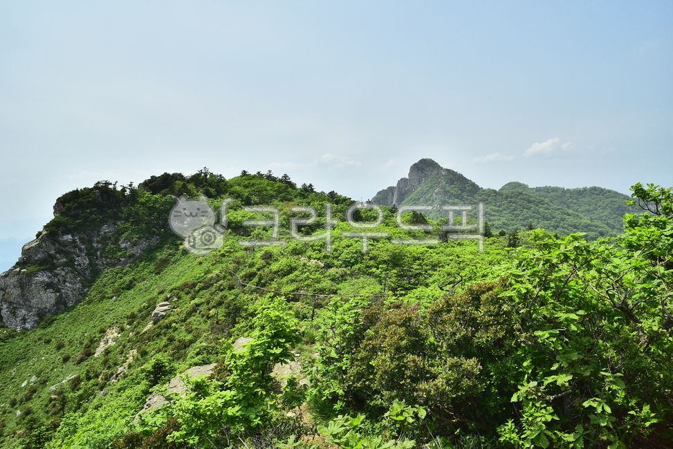 A national park,Oeseorak,Northwest Ridge,healing,mountain,high mountain,record,Korean natural scenery,season,ridge,Gosanjunbong Peak,Mt Seolark,nature,tree,mountain range,peaks,fresh green,outdoor,environment,outdoors,background,Amneung,rocky mountain,Mt 