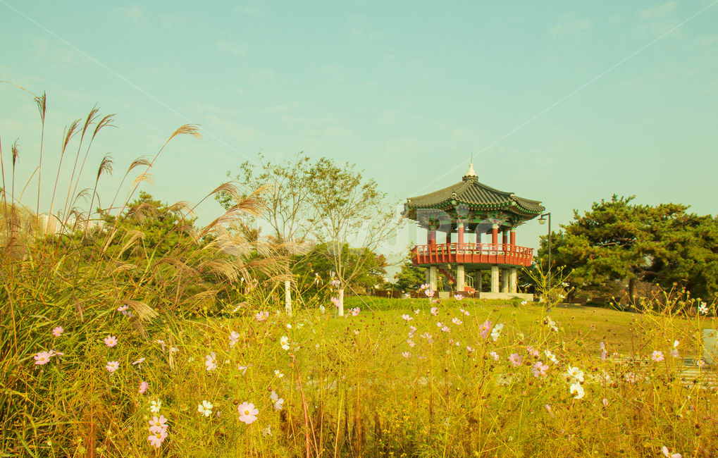 풍경,가을,일산호수공원,한국,랜드마크,일산,호수공원,공원,명소,관광,꽃,관광지,정자,유명,유명한,코스모스,풀,풀밭,초원,억새,억새풀,식물,자연,하늘,전통,전통적인,전통의,아름다운,야외,계절,고양,고양시,대한민국,남한,코리아,아시아,나무,배경,바탕,백그라운드,landscape,autumn,ilsanlakepark,southkorea,fall,korea,landmark,ilsan,pavilion,scene,scenery,view,famous,flower,cosmos,garden,grass,grassfield,flamegrass,silvergrass,plant,sky,tradition,traditional,beautiful,outdoor,outdoors,natural,nature,park,season,asia,tree,background,한국자연풍경,한국자연경관,korea nature landscape