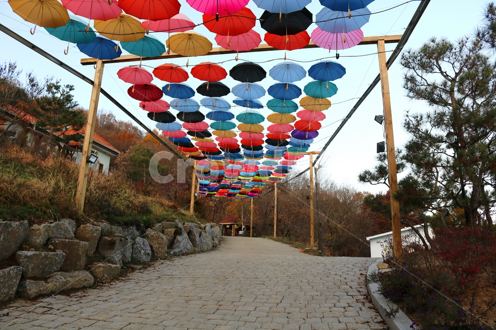 우산,비,그늘막,우산들,지붕우산,우산축제,하늘,허브아일랜드