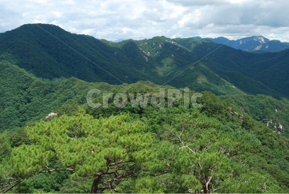 산,나무,돌,자연,하늘,구름,자연,풍경,nature,landscape,한국자연풍경,한국자연경관,korea nature landscape,outdoors,옥외,hill,언덕,slope,경사