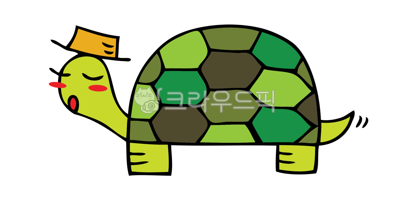 character,turtle,hand drawing,animal,illustration